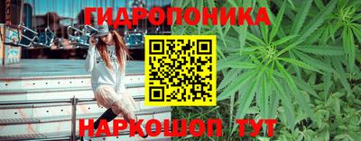 ALPHA PVP Будённовск